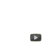 Team Wild TV