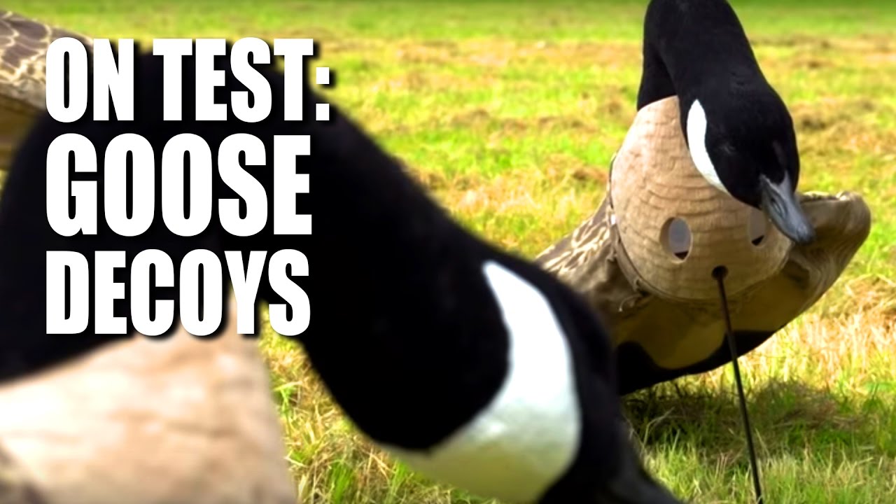 On Test: Goose Decoys On Test: Goose Decoys