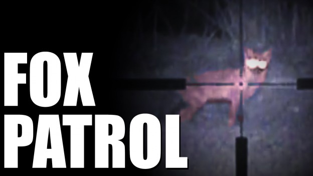 Fox shooting with night vision during lambing