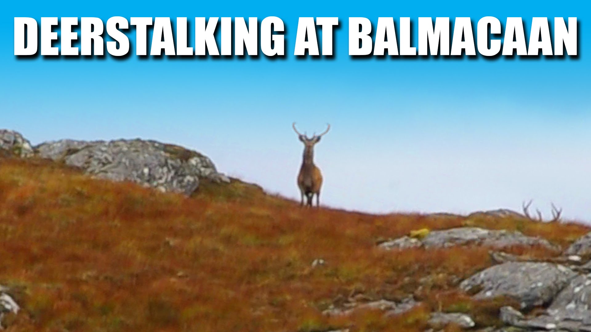 Deerstalking at Balmacaan Estate, Inverness-shire