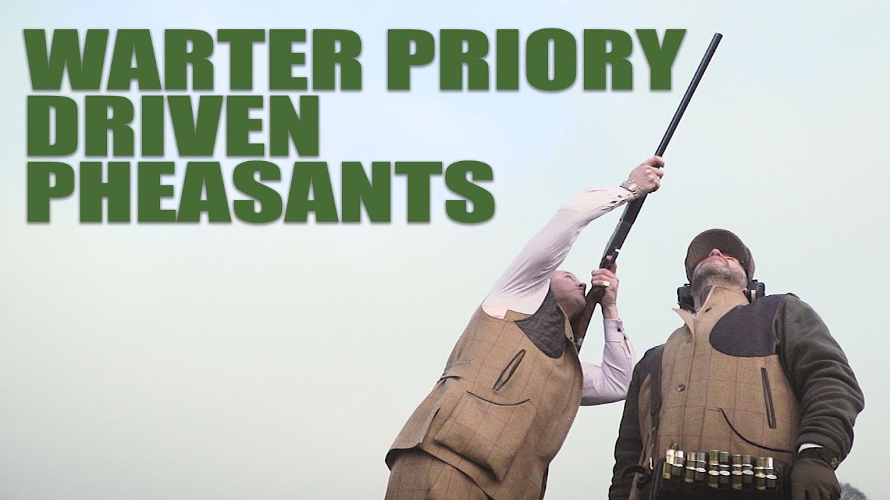 Warter Priory driven pheasants