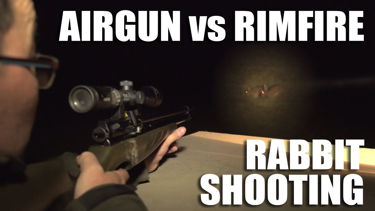 Airgun vs Rimfire