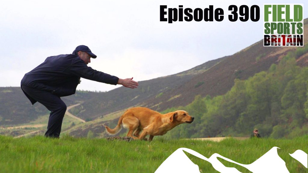 Fieldsports Britain – Top Dogs