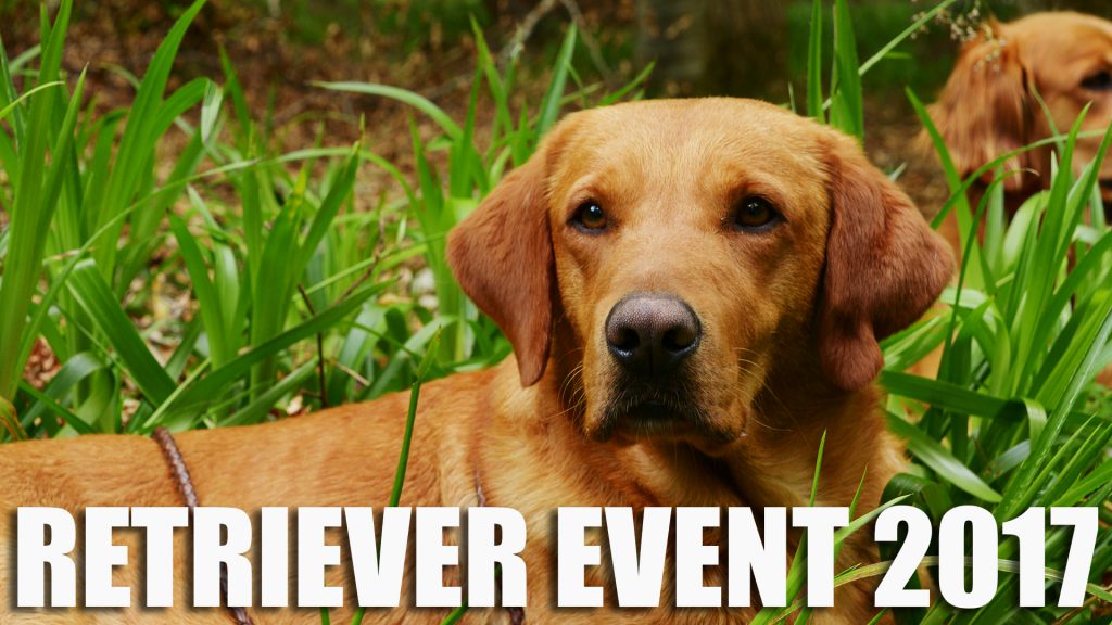 Skinners World Cup Retriever Event 2017
