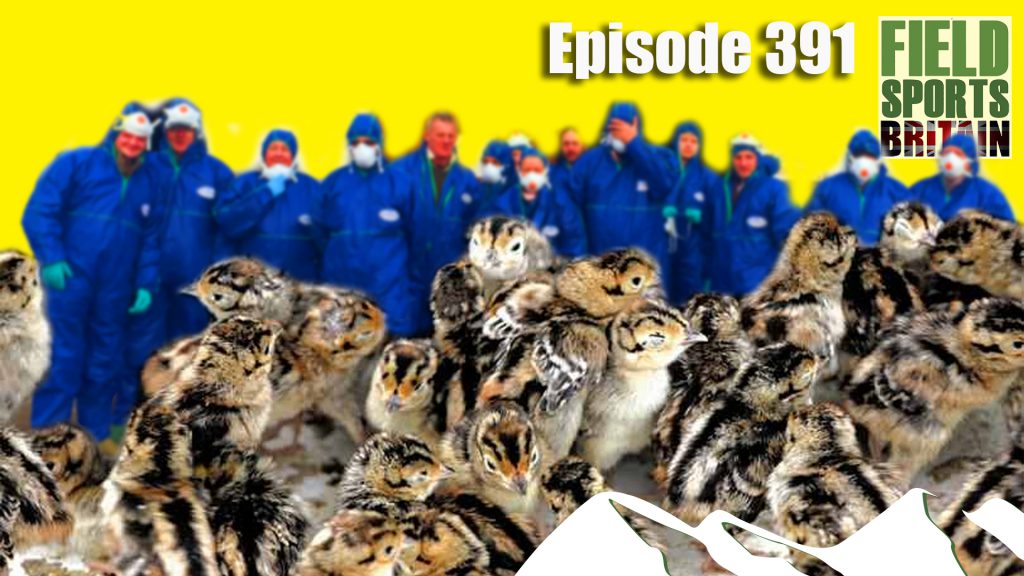 Fieldsports Britain – Bird Flu and the Gameshooting Season