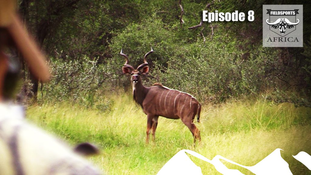 Hunting Kudu – Fieldsports Africa, episode 8