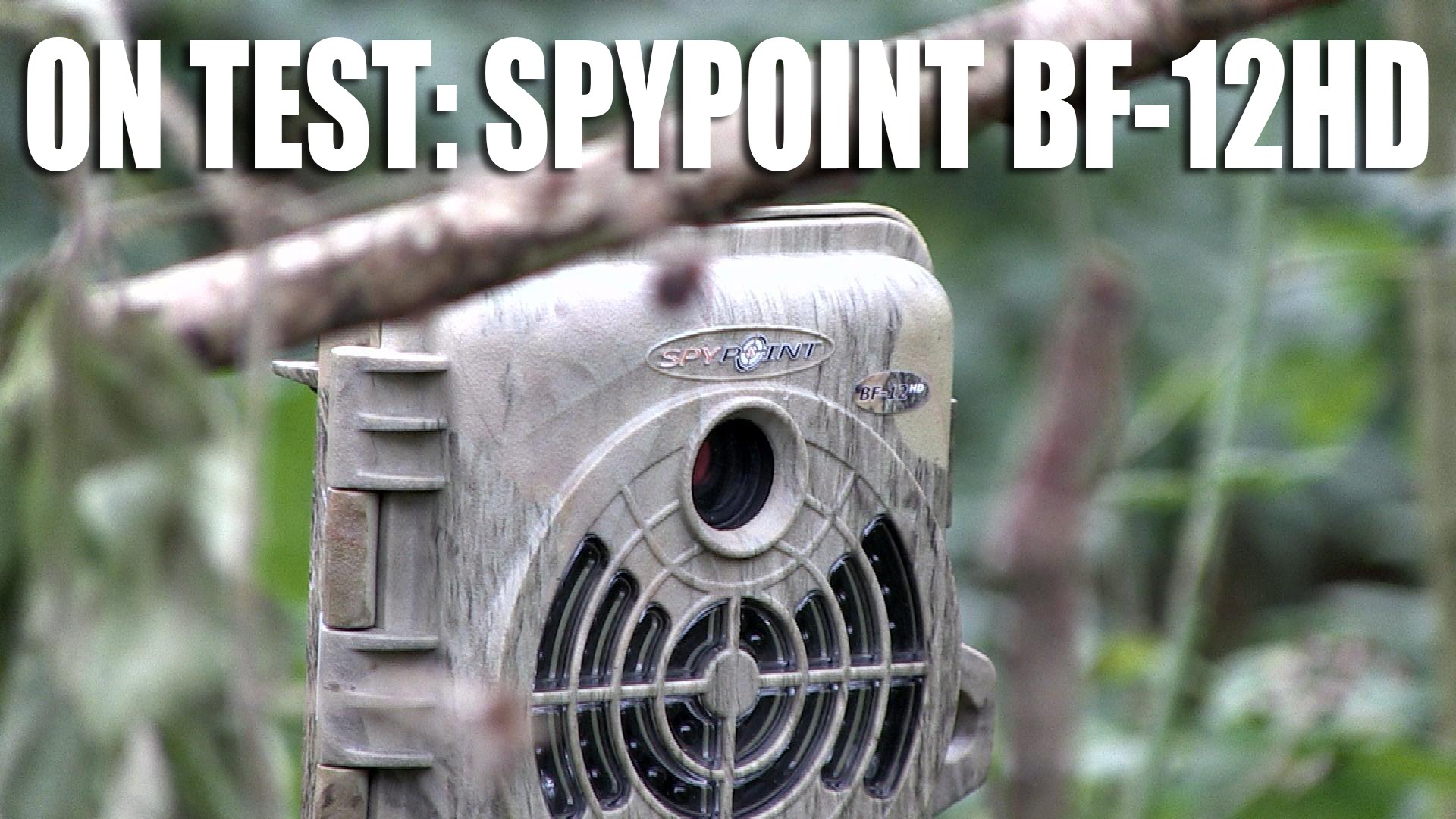 On Test: Spypoint BF12-HD wildlife camera