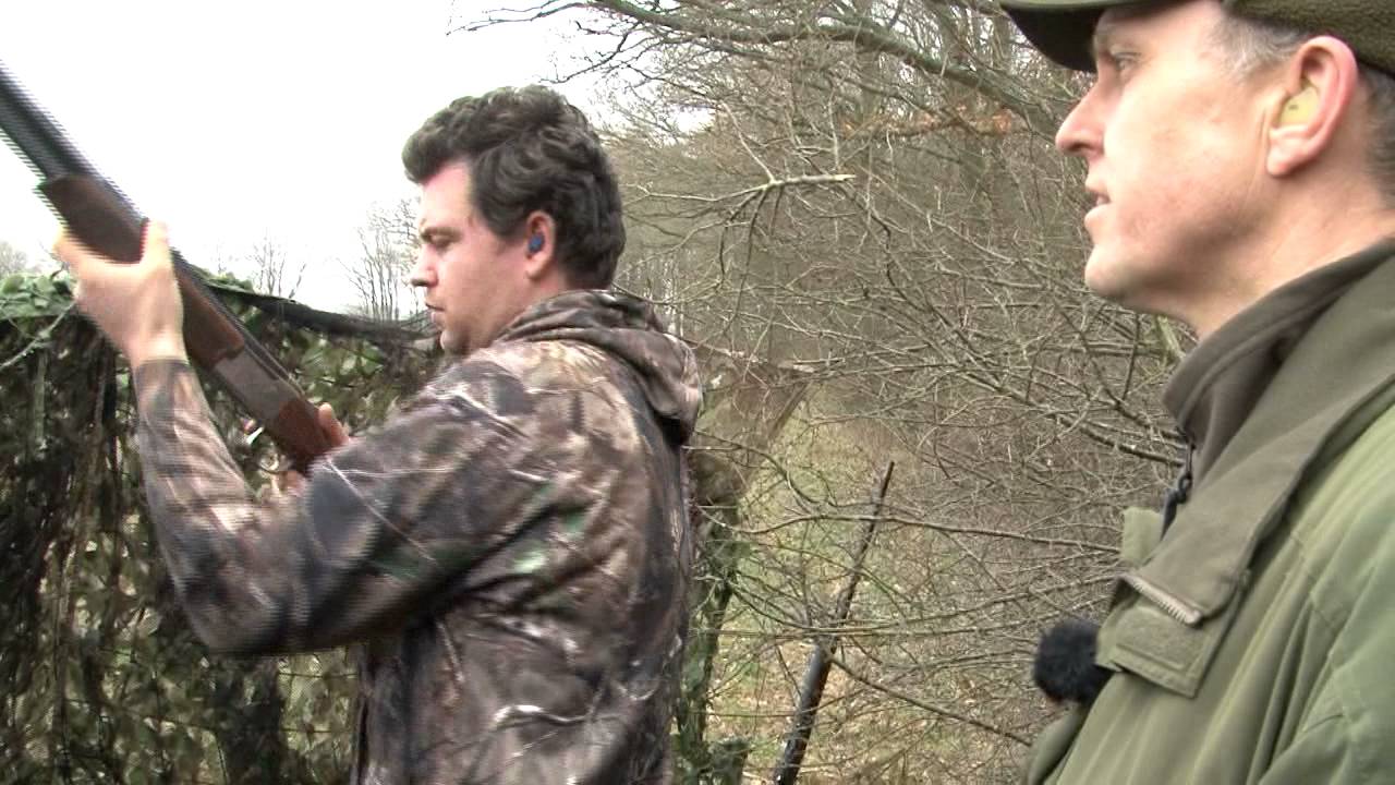 Taylor’s travels: Pigeon shooting in Kent