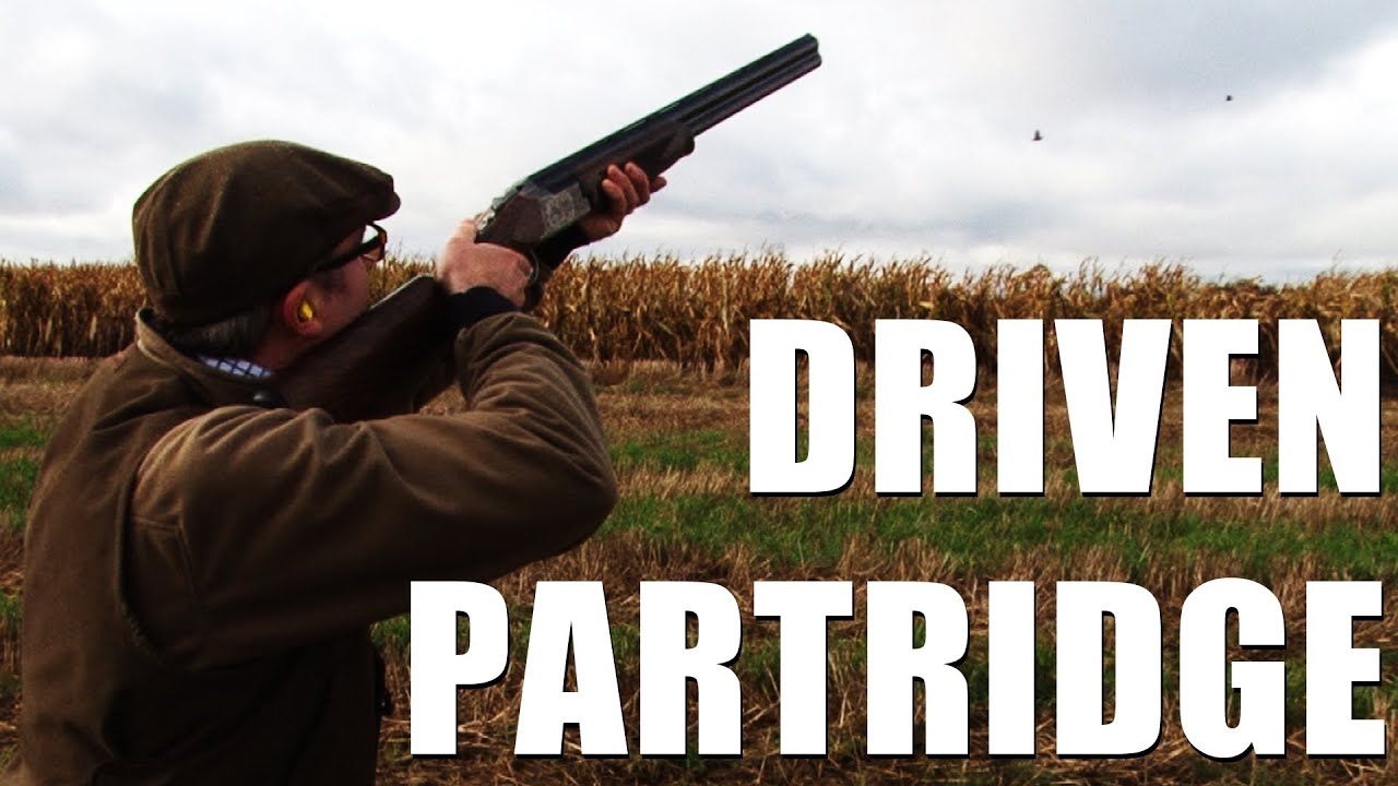 Driven partridge shooting outside Paris