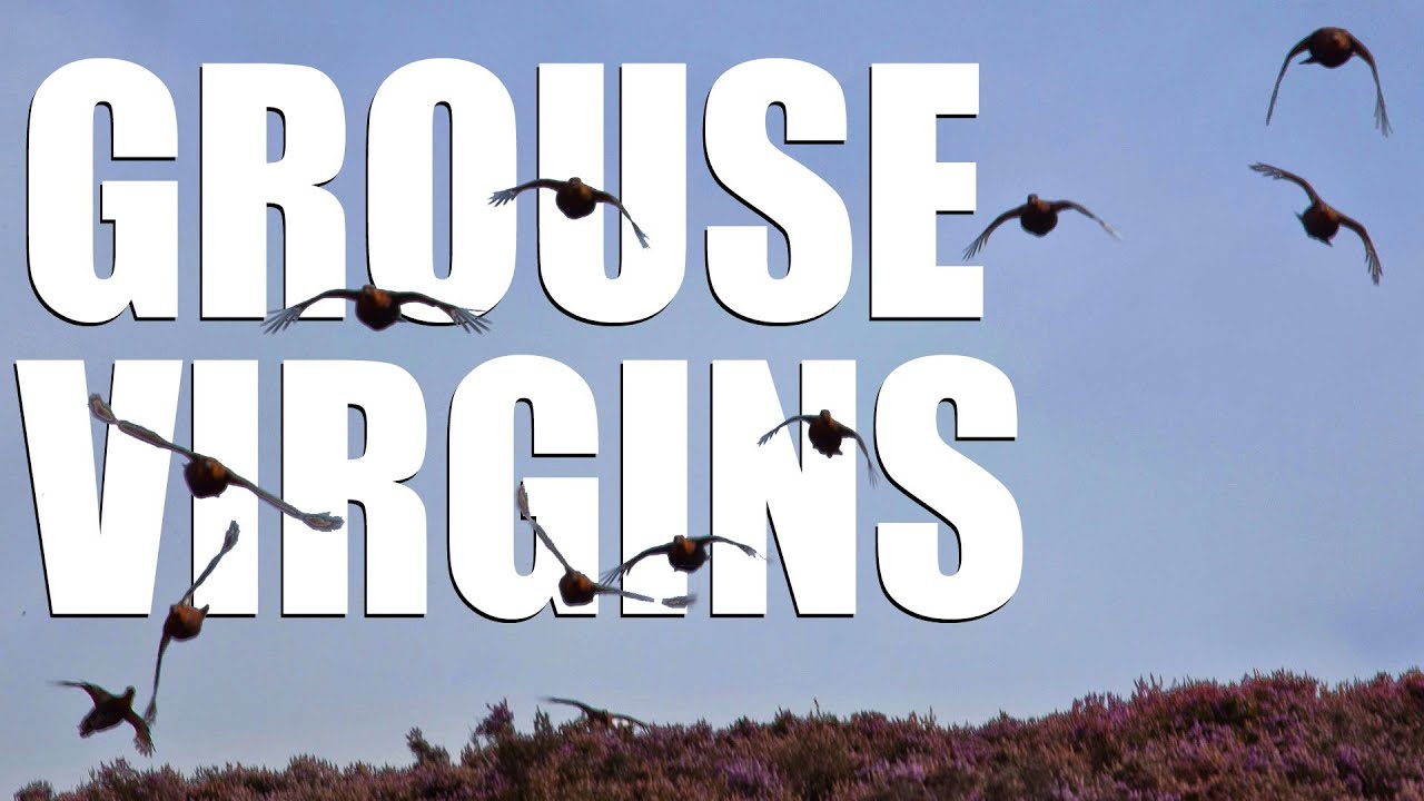 Fieldsports Britain – Grouse virgins