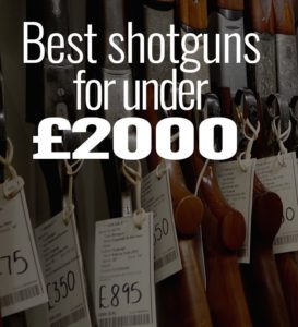 Best shotgun for under £2,000