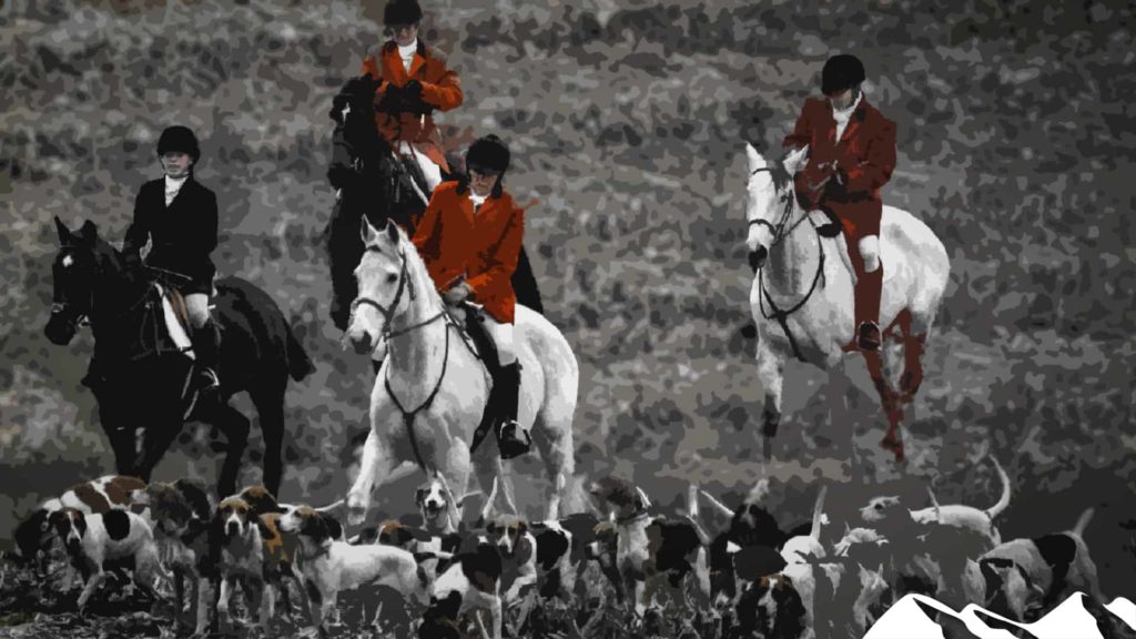Pointless council trailhunting bans - Fieldsports news