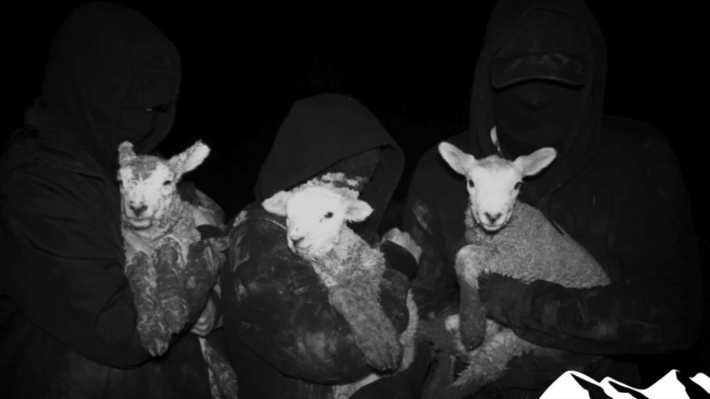 Animal rights extremists release terrorist handbook