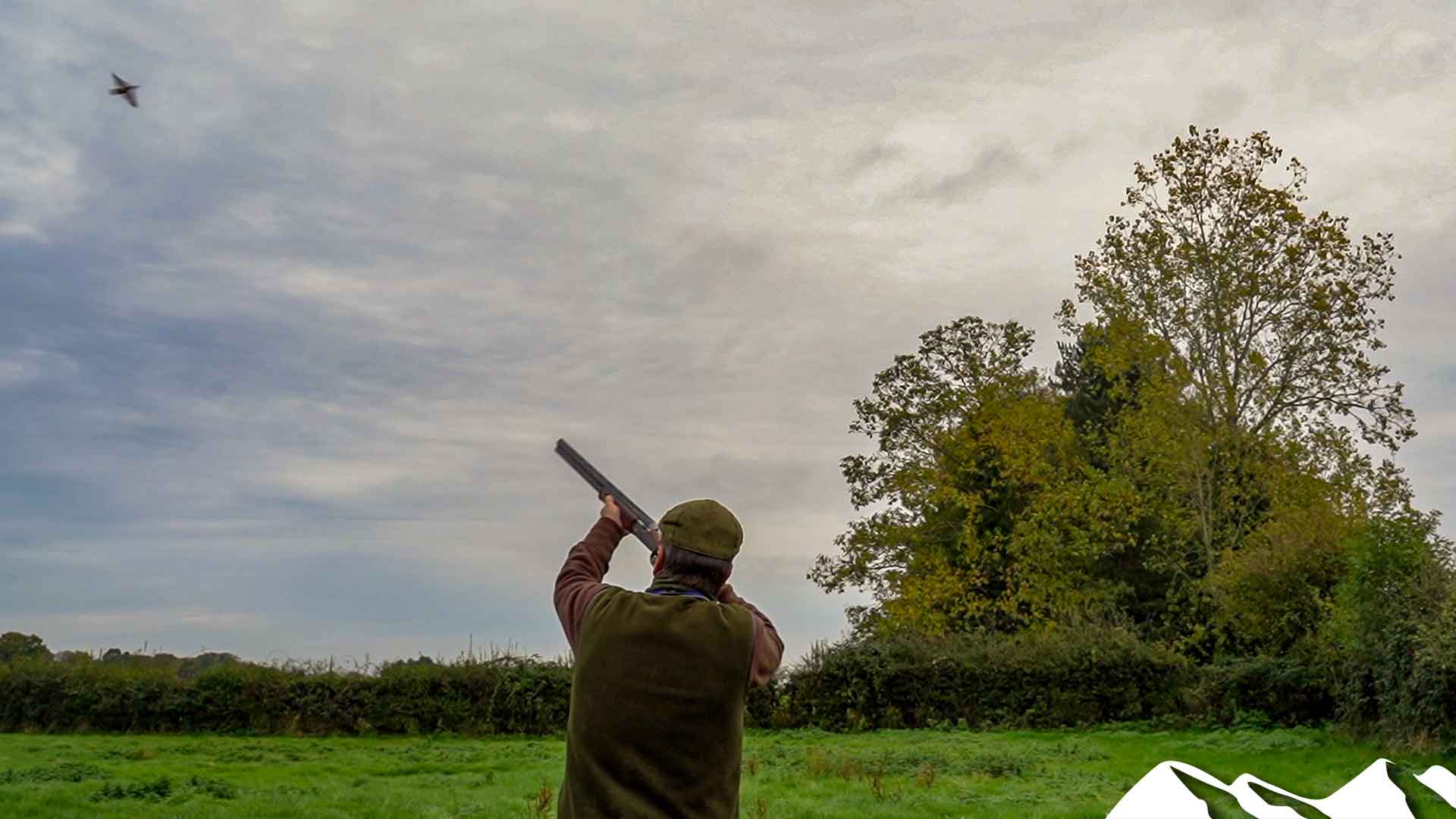 The accidental partridge shoot