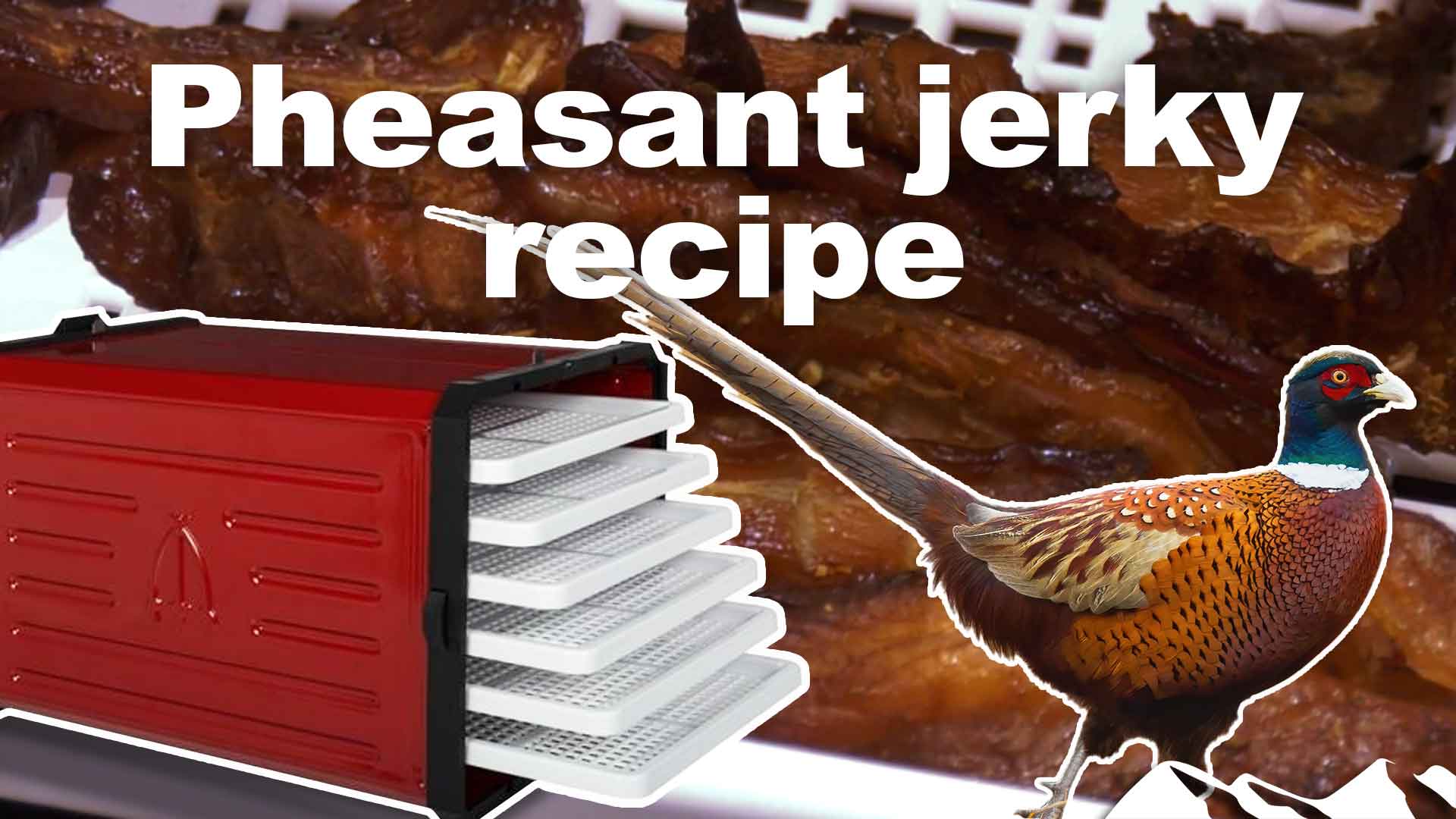 How to make delicious pheasant jerky