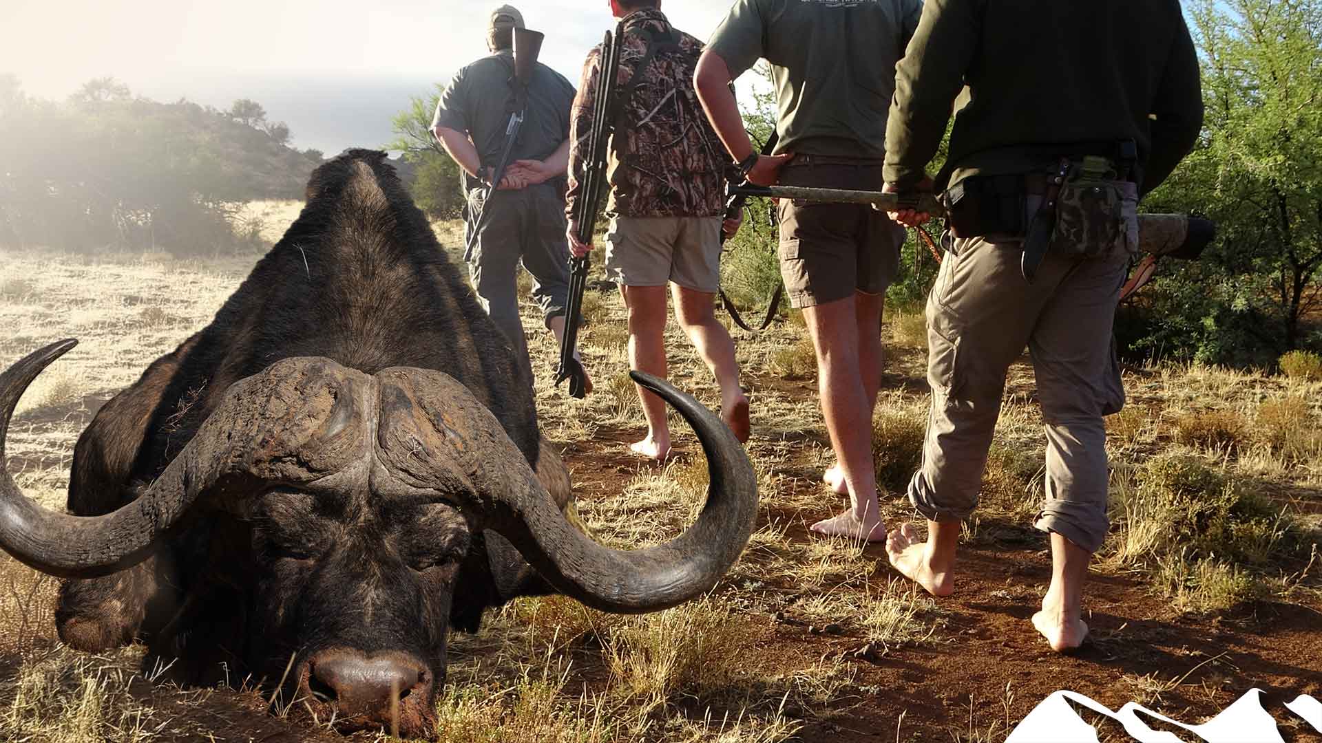 Barefoot buffalo hunt