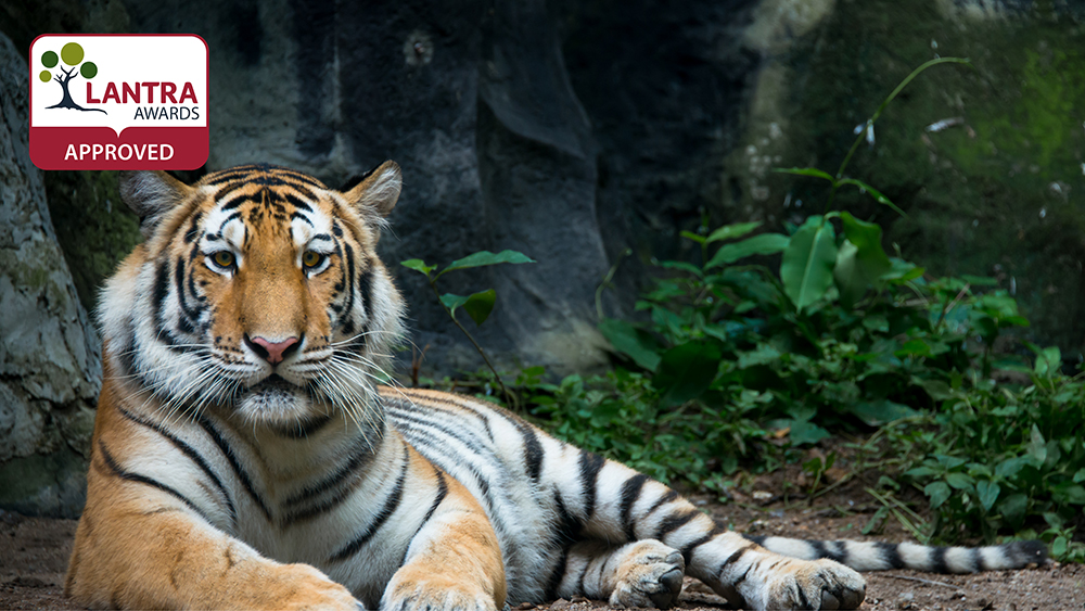 Best Practice – Firearms in Zoos & Wildlife Parks Course