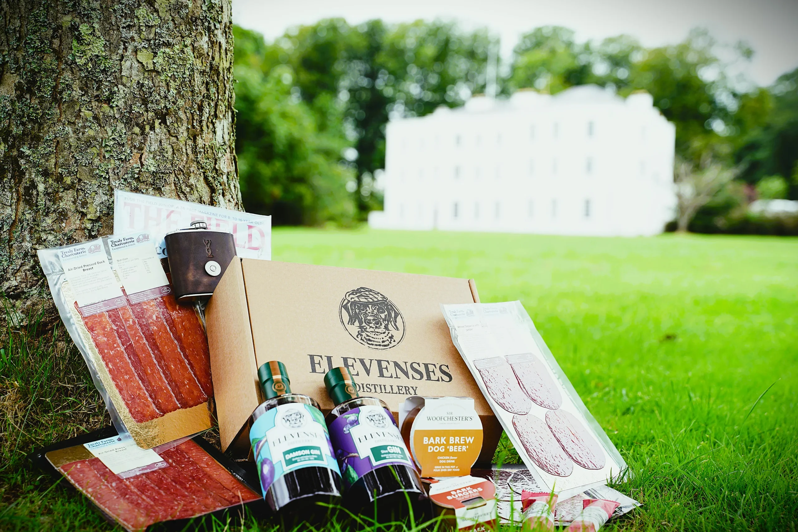 Elevenses Premium ‘Shooters Box’ 6 month subscription – 20% Discount