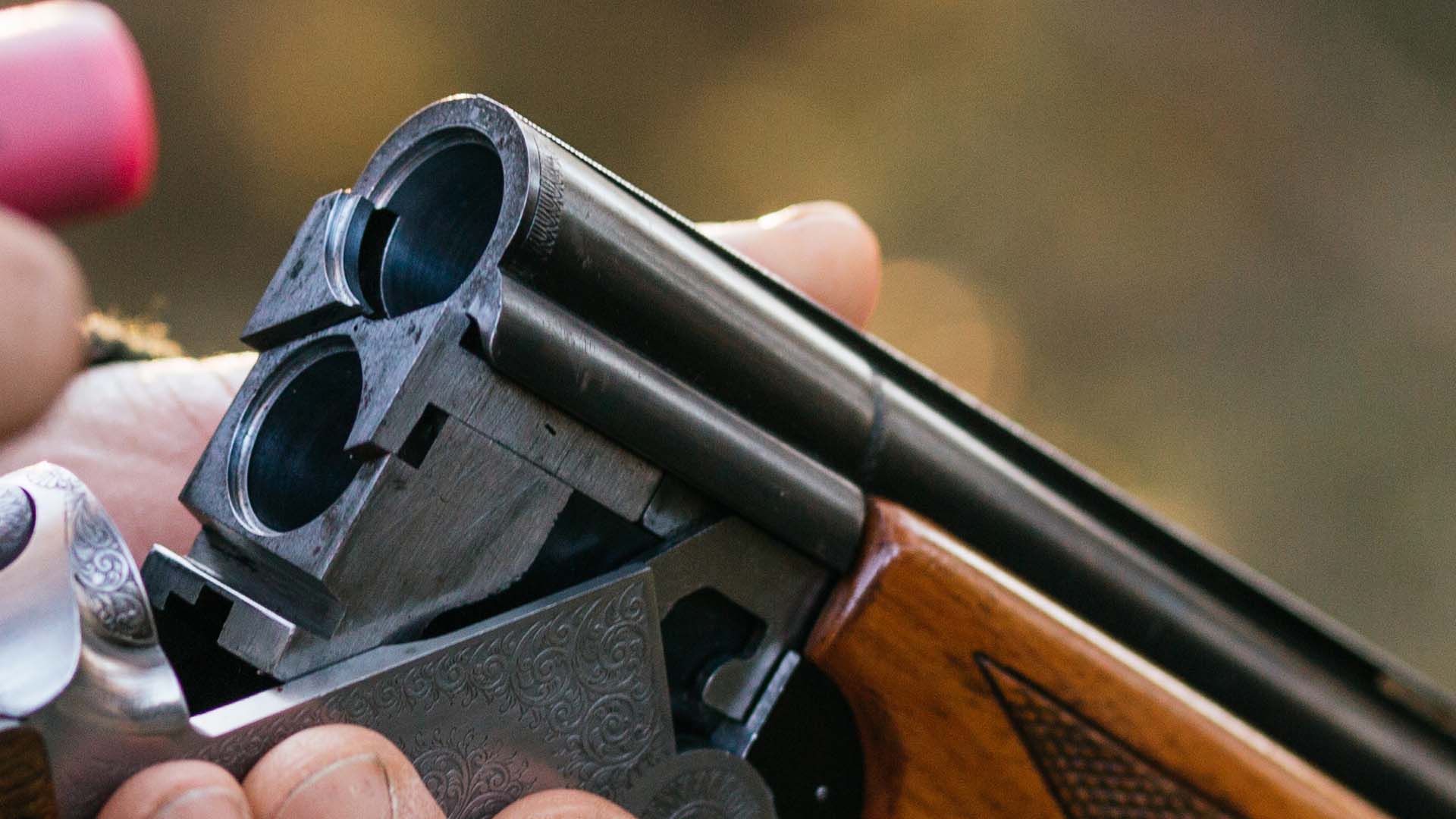 www.fieldsportschannel.tv
